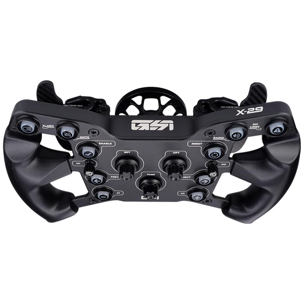 GSI X-29