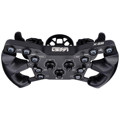 GSI X-29
