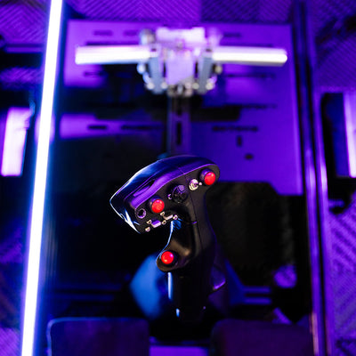 Flight Sim - RotorRig