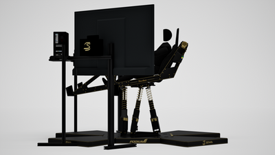P1 DDX Senna Limited Edition Simulator