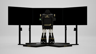 P1 DDX Senna Limited Edition Simulator — Legacy livery, rear view