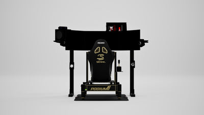 P2 Senna Edition Simulator — Legacy livery, rear view